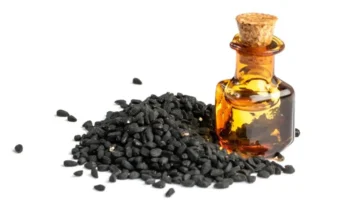 حبة البركة السوداء تعزز الصحة الأيضية والقلب بتقليل دهون الدم وفق دراسة حديثة 1